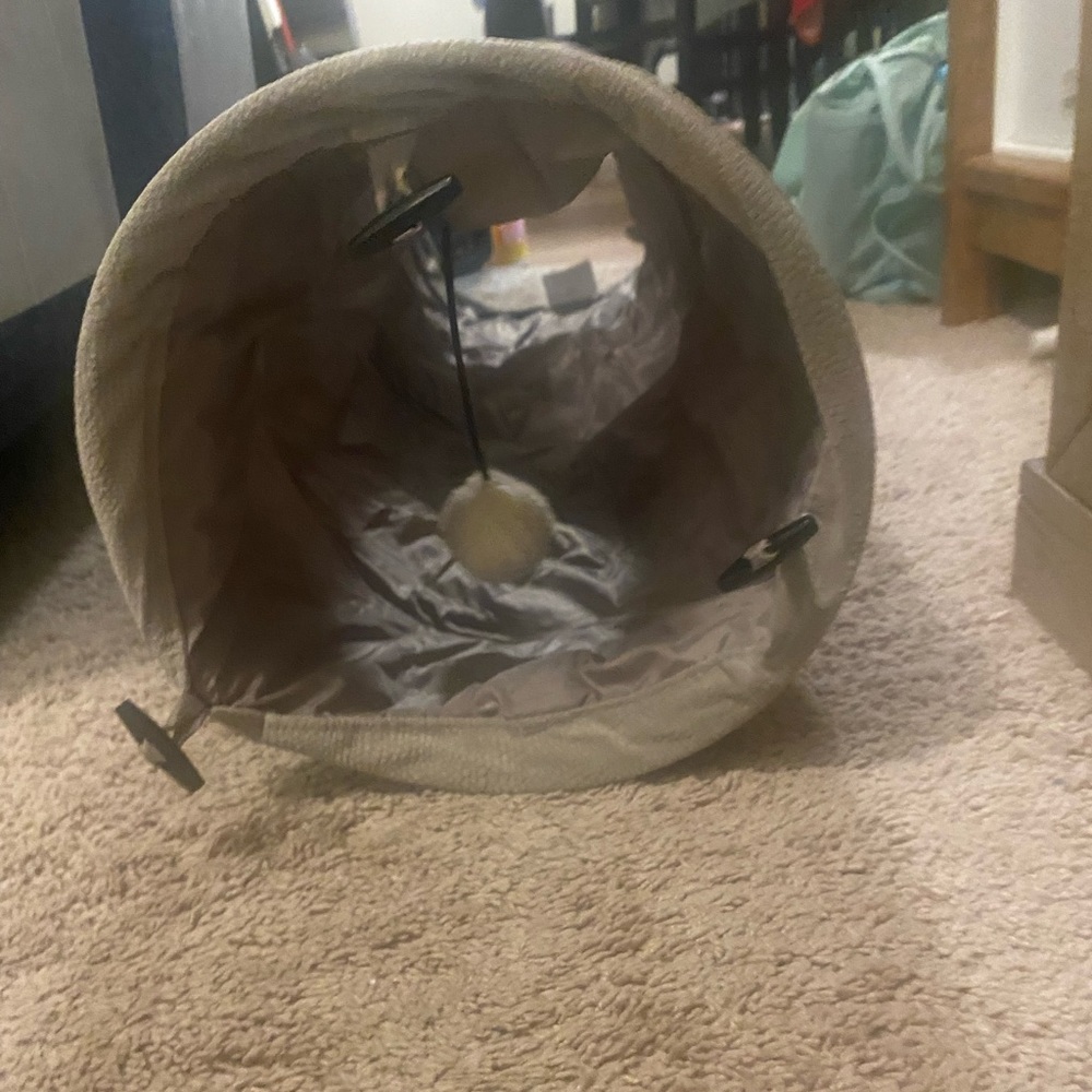 Cat tunnel